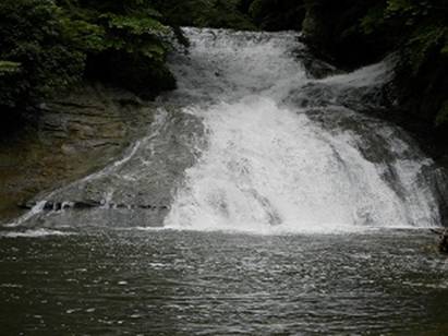 : P6100191A.jpg