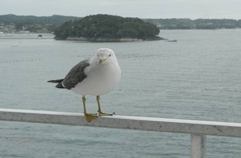 : P7190313A.jpg