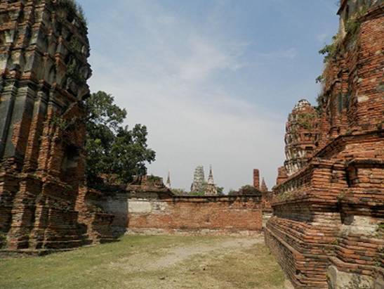 P1011865A.jpg