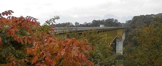 PA313812B.jpg
