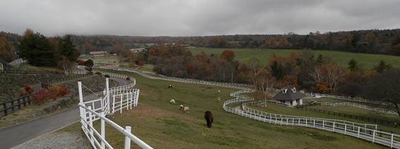 PA313836A.jpg