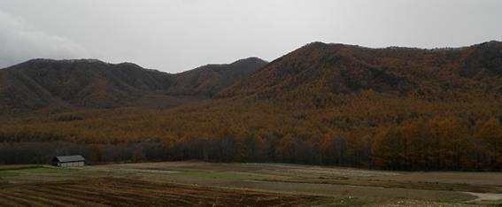 PA313849A.jpg
