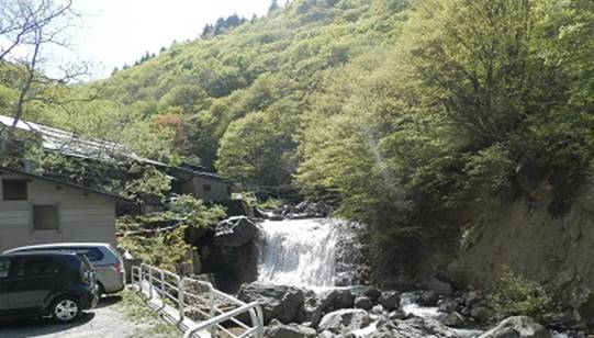 P5135004A.jpg