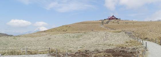 P4255075A.jpg