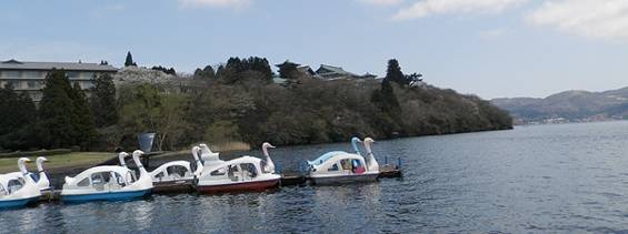 P4255095A.jpg