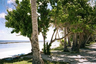 ����ް�.jpg (32940 �o�C�g)