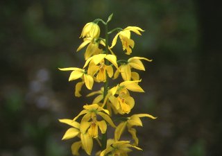 167s.jpg (13456 �o�C�g)