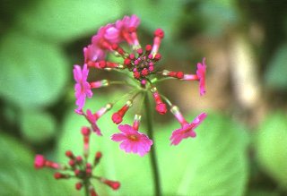 170s.jpg (15513 �o�C�g)