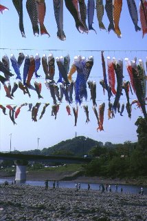 171s.jpg (25091 �o�C�g)