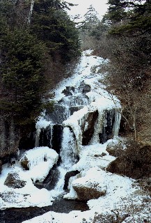 �����̑�