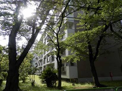 P5312223a.jpg