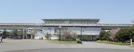 P4195035A.jpg