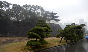 ��, ��, ���O, �� ���܂܂�Ă���摜�����I�ɐ������ꂽ����