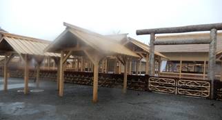 ��, �n��, ���O, ���� ���܂܂�Ă���摜�����I�ɐ������ꂽ����