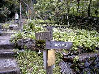 104.jpg (23117 �o�C�g)