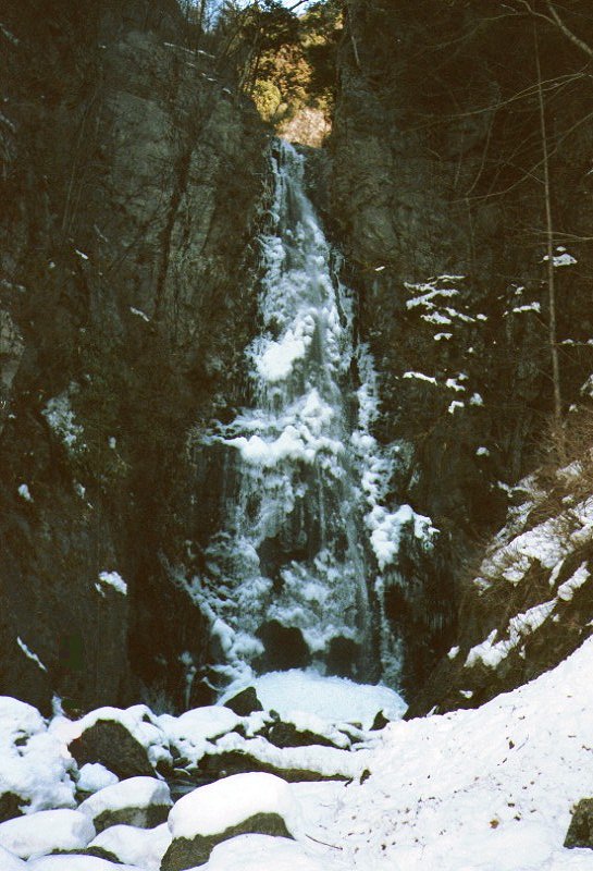 fall.jpg (115935 �o�C�g)