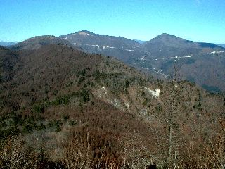 PIC00034s.jpg (21588 �o�C�g)