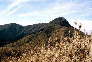 �����R (23664 �o�C�g)