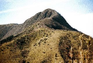 �����R�]�� (24042 �o�C�g)