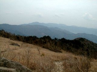 PIC00014s.jpg (14290 �o�C�g)