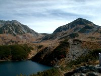 �݂��肪�r���痧�R