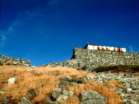 ����O�̏���