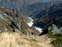 �R�����猕��